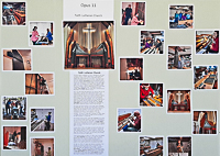 Opus 11