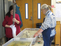 Volunteers Photo14